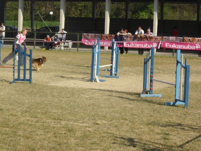 Agility Gor. Radgona - foto povečava