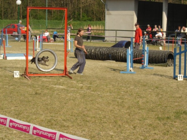 Agility Gor. Radgona - foto