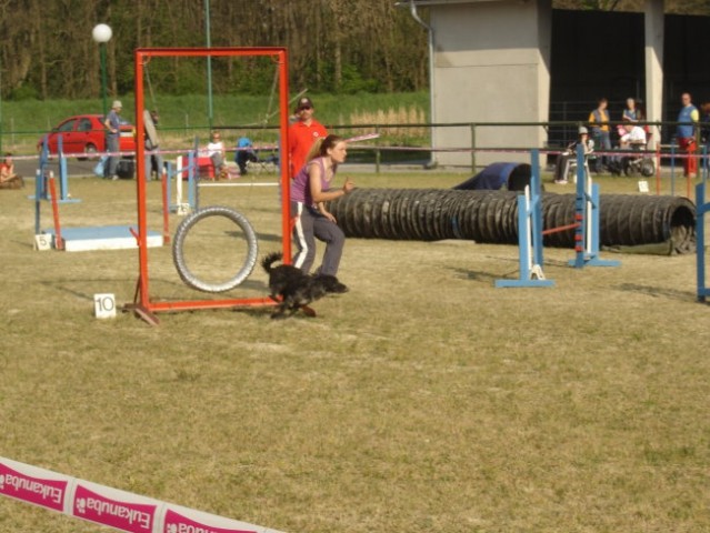 Agility Gor. Radgona - foto