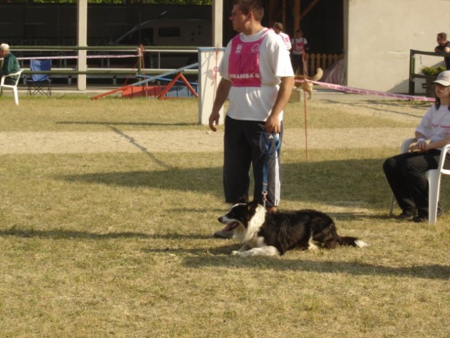 Agility Gor. Radgona - foto