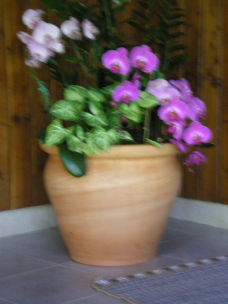 Prekmurje - foto