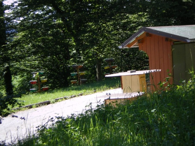 Taichi piknik junij 2009 - foto