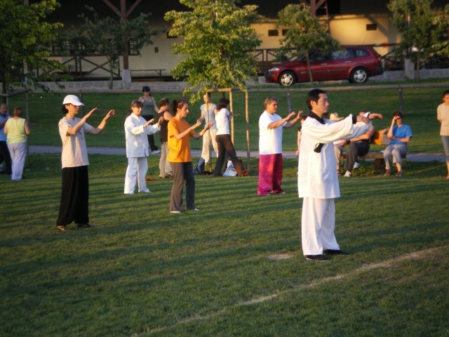 Taichi piknik junij 2009 - foto