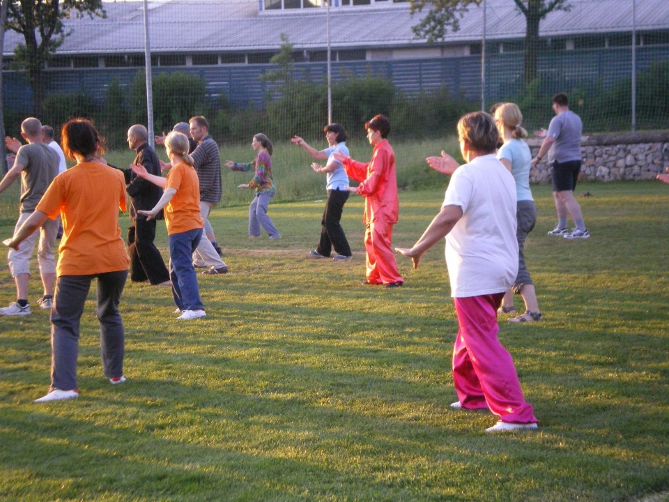 Taichi piknik junij 2009 - foto povečava