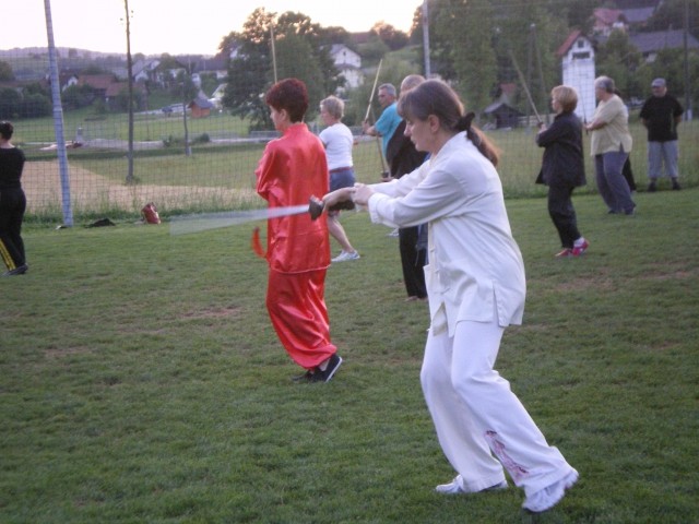 Taichi piknik junij 2009 - foto