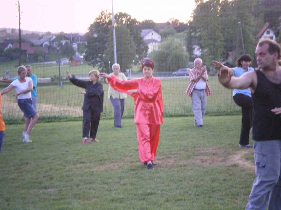 Taichi piknik junij 2009 - foto povečava