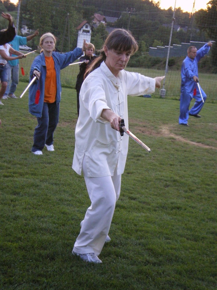 Taichi piknik junij 2009 - foto povečava