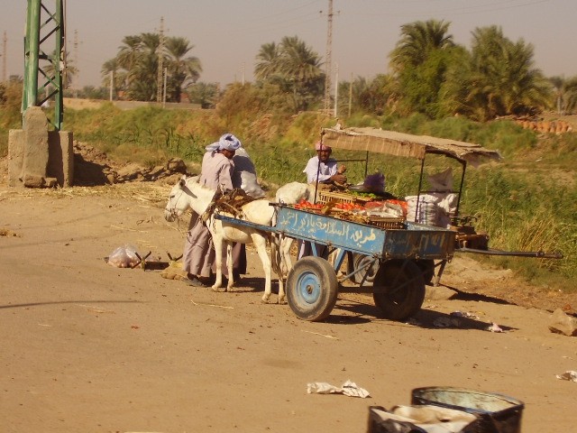 Egipt, 11. - 18.11.2007 - foto