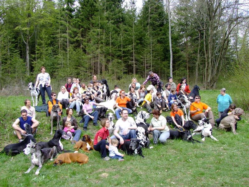 Doga Piknik 2008 - foto povečava