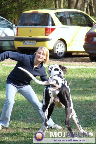 Doga Piknik 2008 - foto povečava