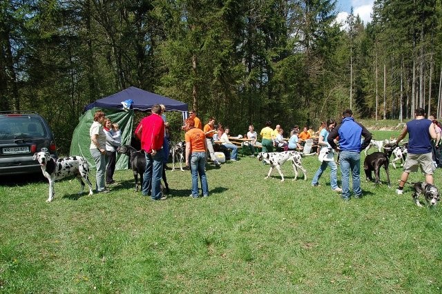 Doga Piknik 2008 - foto