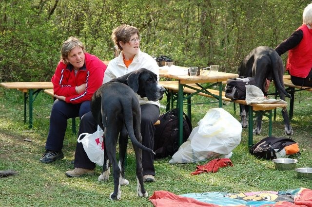 Doga Piknik 2008 - foto