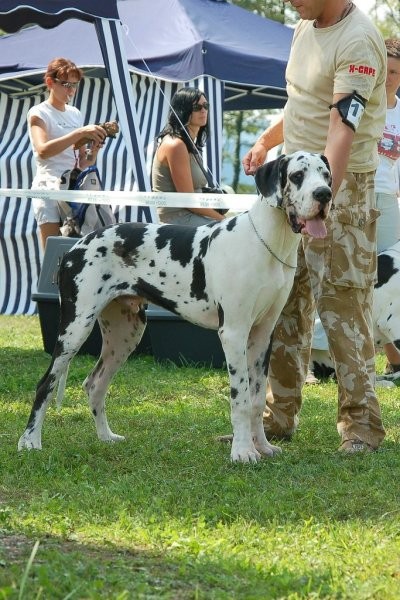 Trbovlje 2007 - foto