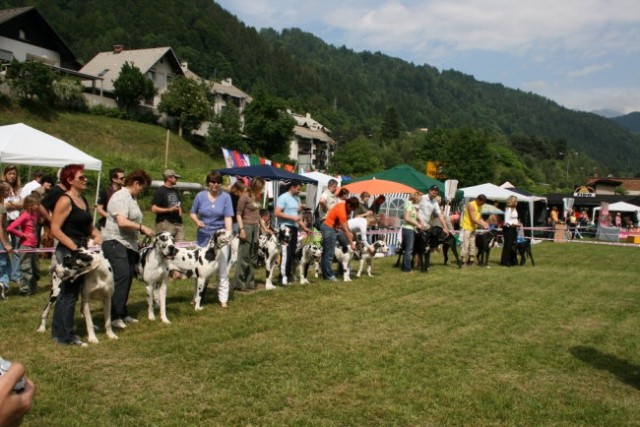 Hrušica 2007 - foto