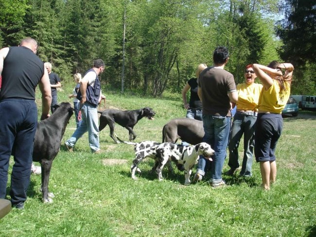 Doga piknik 2007 - foto povečava