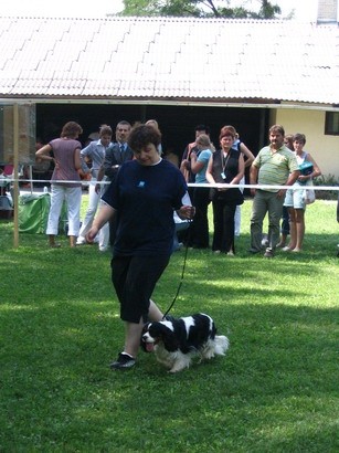 Trbovlje 2007 - foto povečava