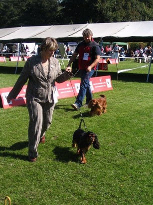 CACIB Varazdin 2007 - foto