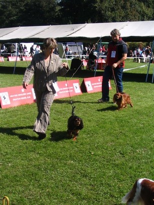 CACIB Varazdin 2007 - foto