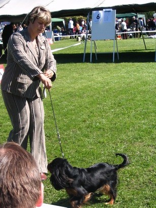 CACIB Varazdin 2007 - foto