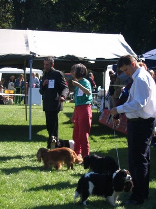 CACIB Varazdin 2007 - foto