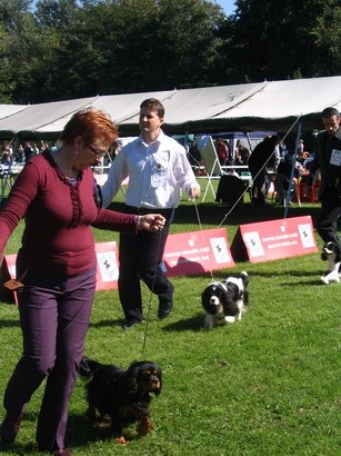 CACIB Varazdin 2007 - foto