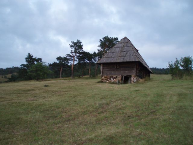 Zlatibor 2009 - foto