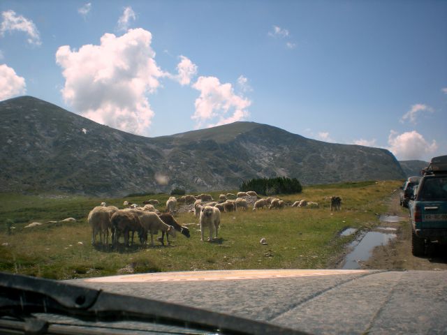 Albanija in makedonija  - foto