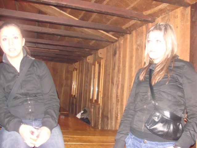 Tilko ropi zadravc nika b-day-->slikce ud ajn - foto