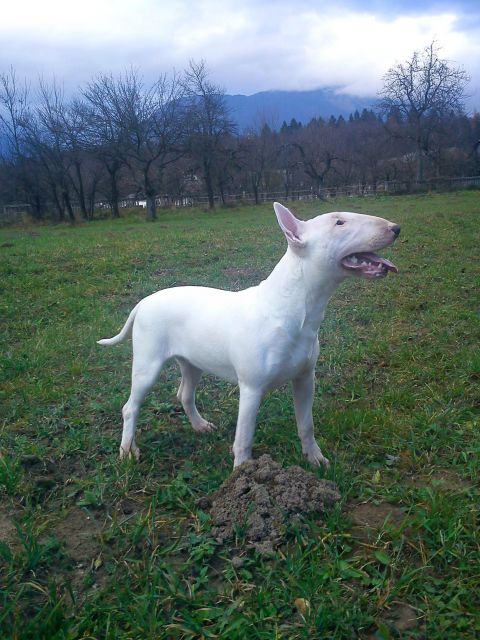 Neli - foto