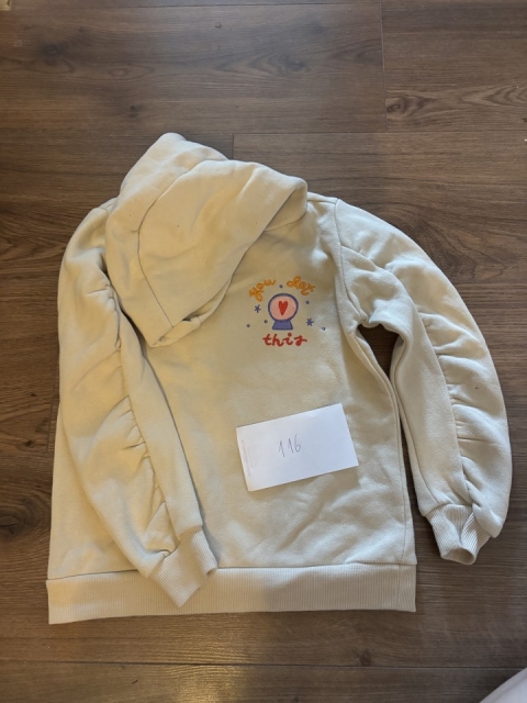 Hoodie Jopica kapucar Reserved