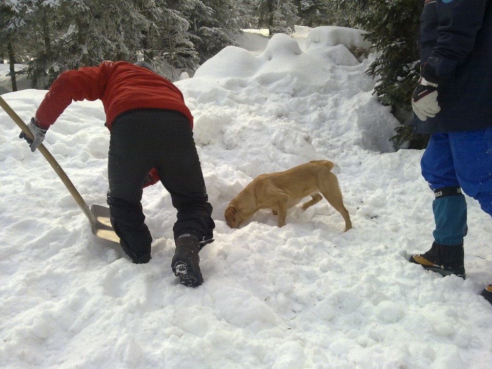 Soriška planina - 3.1.09 - foto povečava