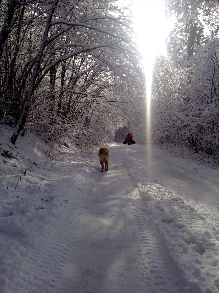 Slavnik - 2.1.09 - foto povečava