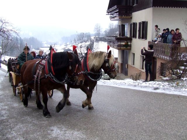 žegnanj konj 2007 - foto