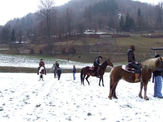 žegnanj konj 2007 - foto povečava