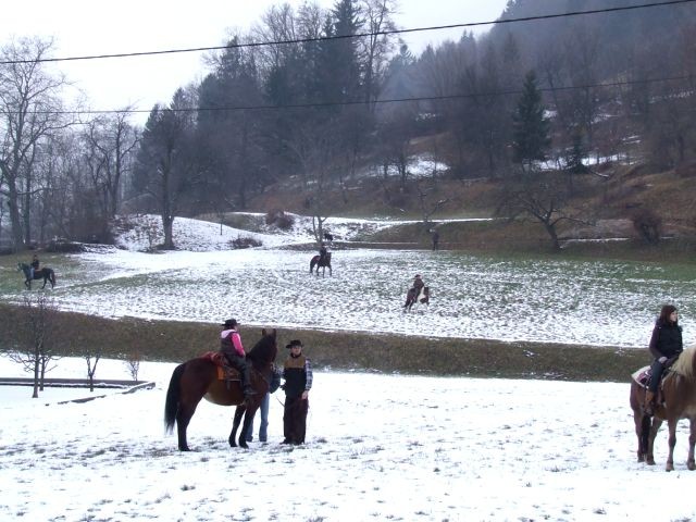 žegnanj konj 2007 - foto