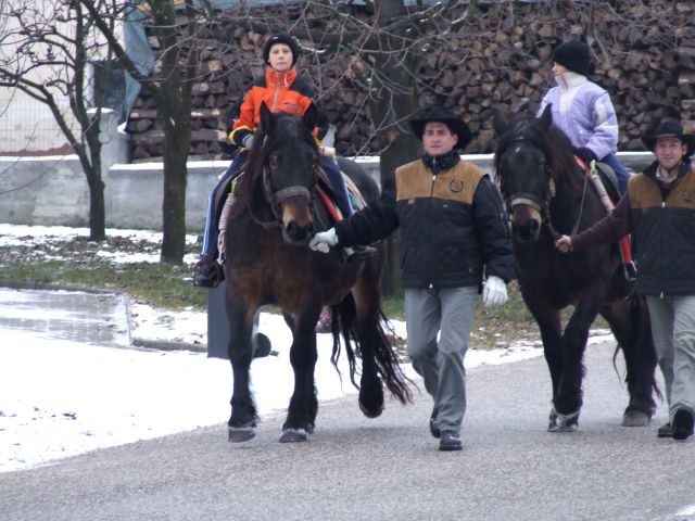 žegnanj konj 2007 - foto povečava