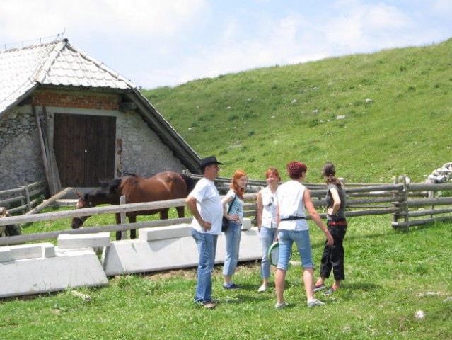 Konjerejski praznik BIBA 29.6. 08 - foto