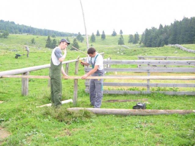 Konjerejski praznik BIBA 29.6. 08 - foto