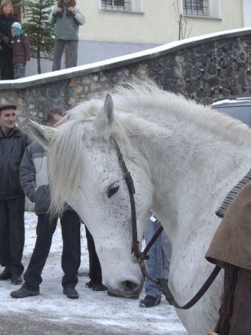 Žegnanje konj  2008 - foto