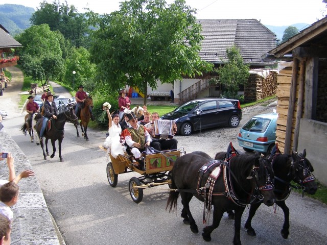 Poroka konjerejca Damjana - foto