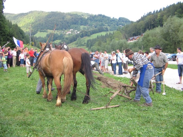 Prikaz kmečkih opravil s konji (Snovik) - foto