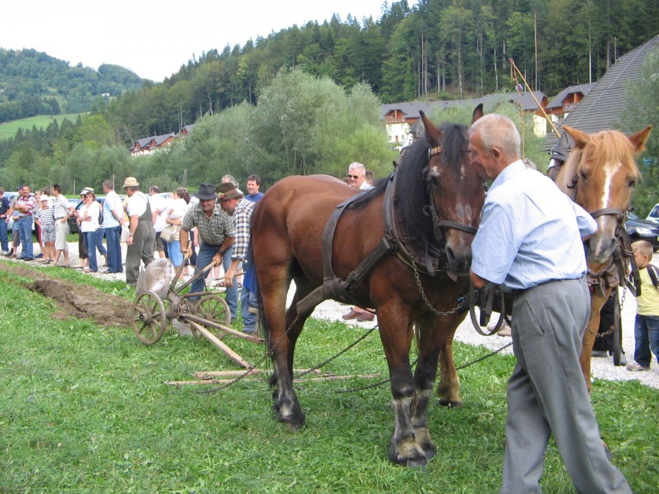Prikaz kmečkih opravil s konji (Snovik) - foto povečava