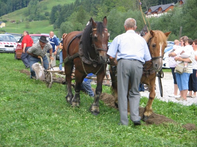 Prikaz kmečkih opravil s konji (Snovik) - foto