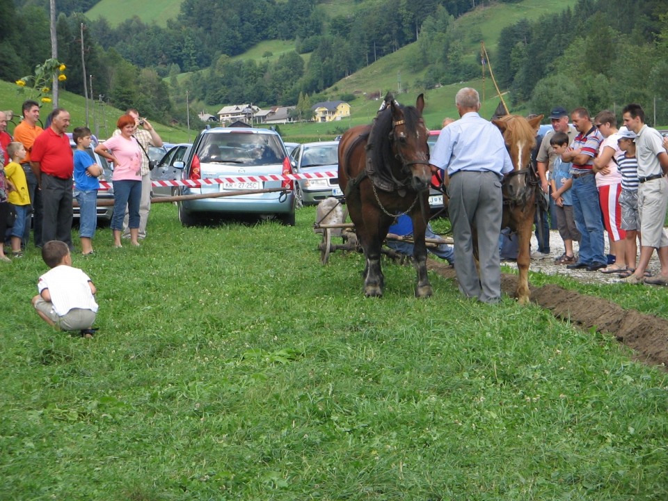 Prikaz kmečkih opravil s konji (Snovik) - foto povečava