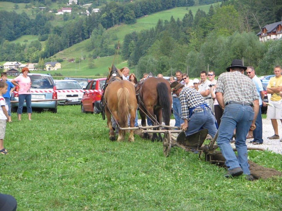 Prikaz kmečkih opravil s konji (Snovik) - foto povečava