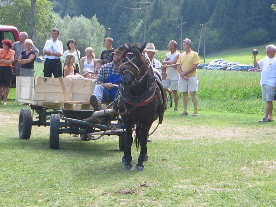 Prikaz kmečkih opravil s konji (Snovik) - foto povečava