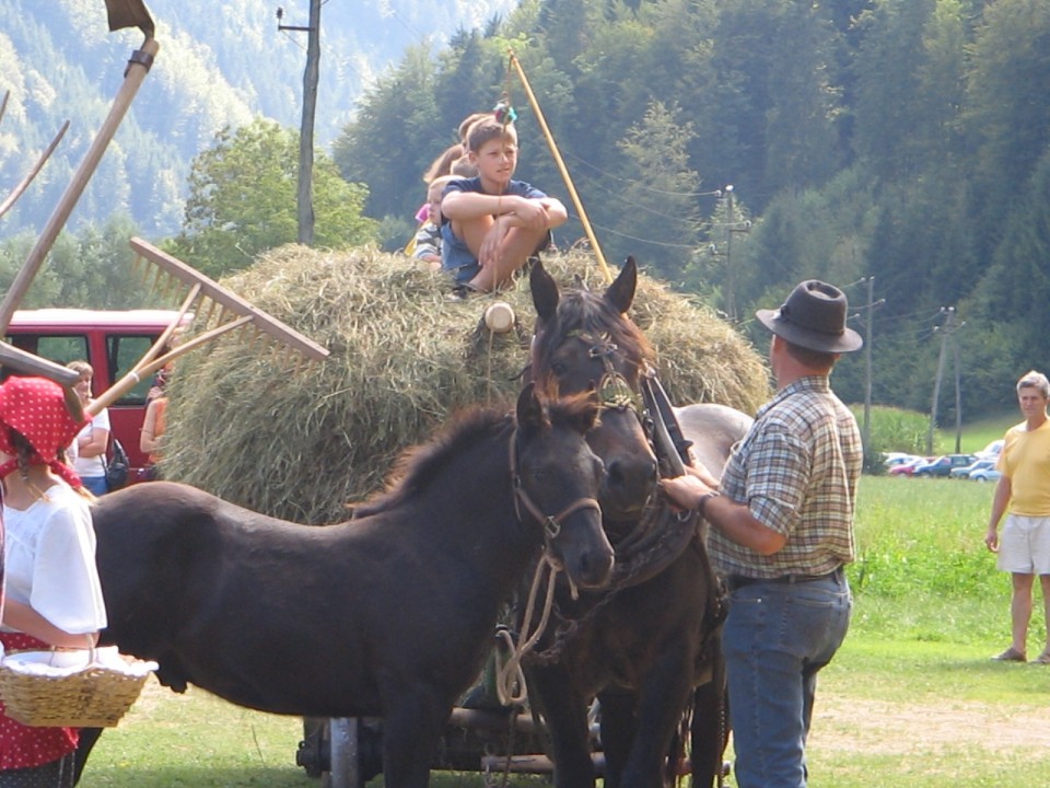 Prikaz kmečkih opravil s konji (Snovik) - foto povečava
