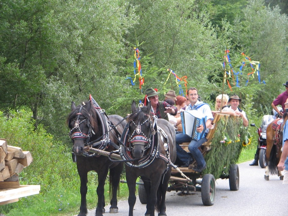 Prikaz kmečkih opravil s konji (Snovik) - foto povečava