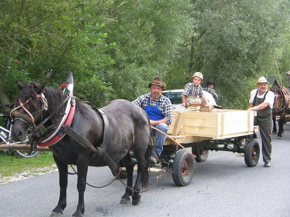 Prikaz kmečkih opravil s konji (Snovik) - foto povečava