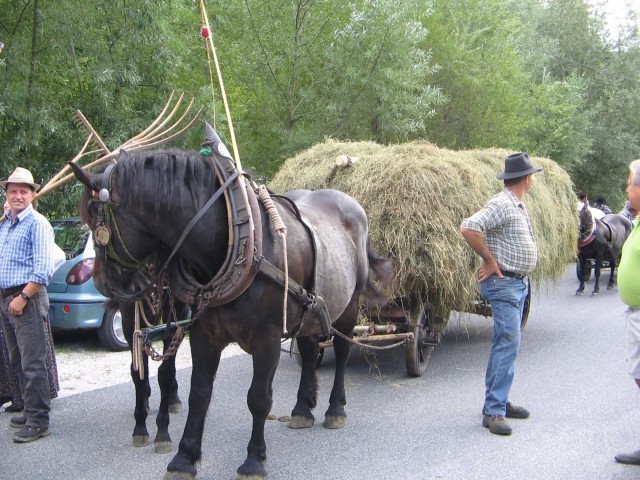 Prikaz kmečkih opravil s konji (Snovik) - foto